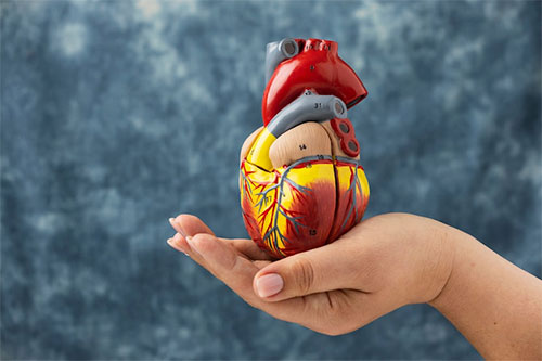 Best Treatment at pune for Cardiac Rehabilitation Program